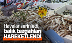 Havalar serinledi, balık tezgahları hareketlendi