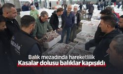 Balık mezadında hareketlilik: Kasalar dolusu balıklar kapışıldı