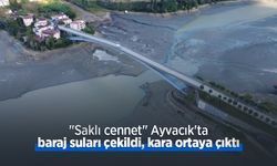 "Saklı cennet" Ayvacık'ta baraj suları çekildi, kara ortaya çıktı