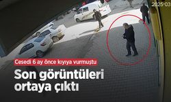 Cesedi 6 ay önce kıyıya vurmuştu; son görüntüleri ortaya çıktı