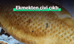 Ekmekten çivi çıktı