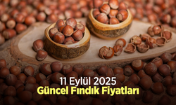 11 Eylül 2025 Güncel Fındık Fiyatları