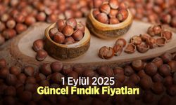 1 Eylül 2025 Güncel Fındık Fiyatları