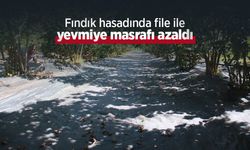 Fındık hasadında file ile yevmiye masrafı azaldı