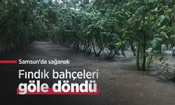 Samsun'da sağanak: Fındık bahçeleri göle döndü