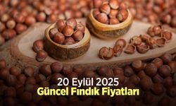 20 Eylül 2025 Güncel Fındık Fiyatları