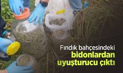 Fındık bahçesindeki bidonlardan uyuşturucu çıktı