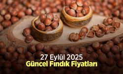 27 Eylül 2025 Güncel Fındık Fiyatları