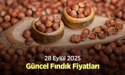 28 Eylül 2025 Güncel Fındık Fiyatları