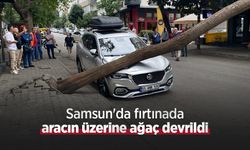 Samsun'da fırtınada aracın üzerine ağaç devrildi