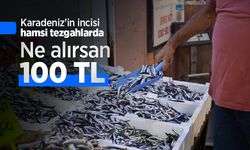 Karadeniz'in incisi hamsi tezgahlarda: Ne alırsan 100 TL