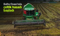 Bafra Ovası'nda çeltik hasadı başladı