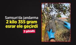 Samsun'da jandarma 2 kilo 355 gram esrar ele geçirdi: 2 gözaltı