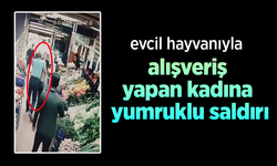 Evcil hayvanıyla alışveriş yapan kadına yumruklu saldırı.