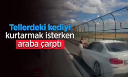 Tellerdeki kediyi kurtarmak isterken araba çarptı.