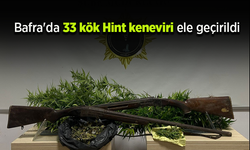Bafra'da 33 kök Hint keneviri ele geçirildi.