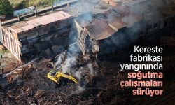 Kereste fabrikası yangınında soğutma çalışmaları sürüyor