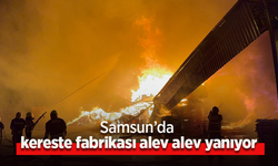 Samsun’da kereste fabrikası alev alev yanıyor.