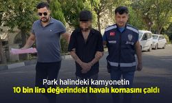 Park halindeki kamyonetin 10 bin lira değerindeki havalı kornasını çaldı