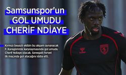 Samsunspor'un  GOL UMUDU CHERİF NDİAYE!