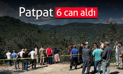 Patpat 6 can aldı!
