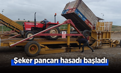 Şeker pancarı hasadı başladı.