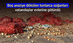 Boş araziye dökülen tonlarca soğanı vatandaşlar evlerine götürdü.