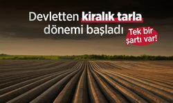 Devletten kiralık tarla dönemi başladı: Tek bir şartı var!