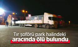 Tır şoförü park halindeki aracında ölü bulundu.