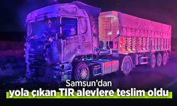 Samsun'dan yola çıkan TIR alevlere teslim oldu.