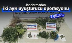 Jandarmadan iki ayrı uyuşturucu operasyonu: 3 gözaltı