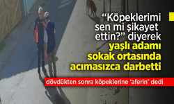 "Köpeklerimi sen mi şikayet ettin?" diyerek yaşlı adamı sokak ortasında darbetti.