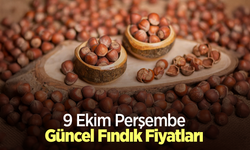 9 Ekim 2025 Güncel Fındık Fiyatları