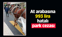 At arabasına 993 lira hatalı park cezası.