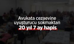 Avukata cezaevine uyuşturucu sokmaktan 20 yıl 7 ay hapis