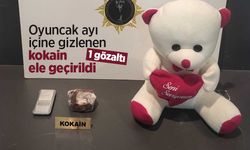 Oyuncak ayı içine gizlenen kokain ele geçirildi: 1 gözaltı