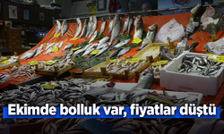 Ekimde bolluk var, fiyatlar düştü.