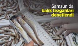 Samsun'da balık tezgahları denetlendi