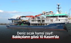 Deniz sıcak hamsi zayıf: Balıkçıların gözü 10 Kasım'da