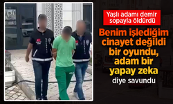 Yaşlı adamı demir çubukla döverek öldürdü. Yapay zekaydı dedi.
