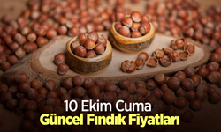 10 Ekim 2025 Güncel Fındık Fiyatları