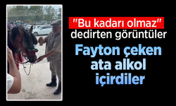 "Bu kadarı olmaz" dedirten görüntüler: Fayton çeken ata alkol içirdiler.