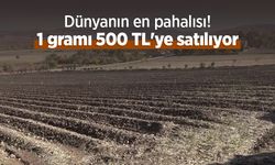 Dünyanın en pahalısı! 1 gramı 500 TL'ye satılıyor