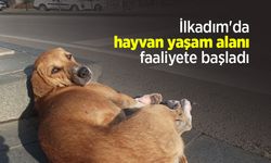 İlkadım'da hayvan yaşam alanı faaliyete başladı