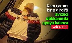 Kapı camını kırıp girdiği avizeci dükkanında uyuya kalınca yakalandı.
