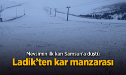 Mevsimin ilk karı Samsun'a düştü.