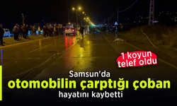 Samsun'da otomobilin çarptığı çoban hayatını kaybetti.