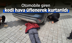Otomobile giren kedi hava üflenerek kurtarıldı.