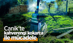 Canik’te kahverengi kokarca ile mücadele