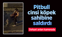 Pitbull cinsi köpek sahibine saldırdı: Dehşet anları kamerada